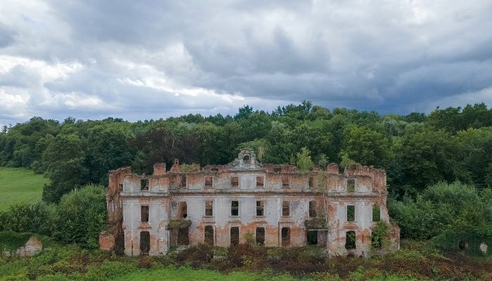 Zámok Słobity 3