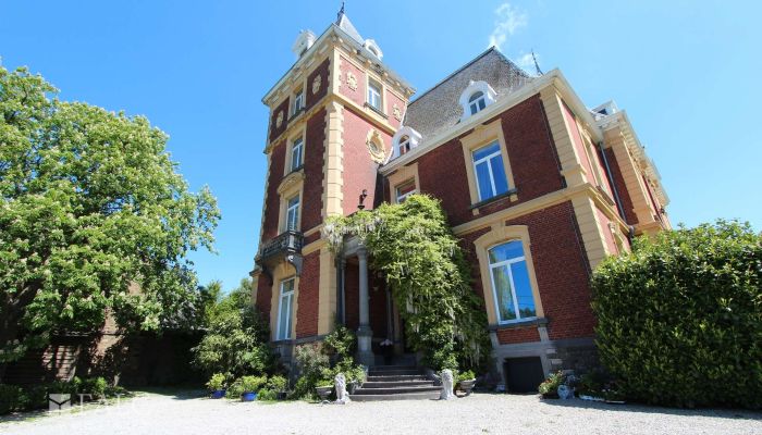 Zámok na predaj Fays, Wallonie,  Belgicko
