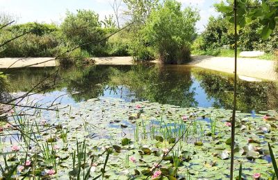 Kaštieľ na predaj Gémozac, Nouvelle-Aquitaine:  Der Teich mit Sandstrand