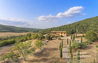 Vidiecky dom na predaj Sarteano, Toscana:  RIF 3005 Zufahrt zum Anwesen