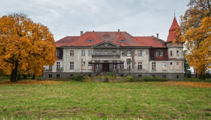 Zámok na predaj Karczewo, województwo wielkopolskie,  Poľsko