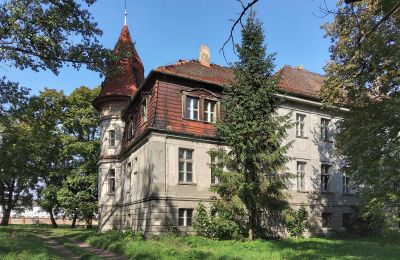 Zámok na predaj Karczewo, województwo wielkopolskie, Pohľad zboku