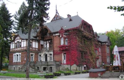 Historická vila na predaj Kudowa-Zdrój, Zdrojowa 36, województwo dolnośląskie,, Obrázok 4/6