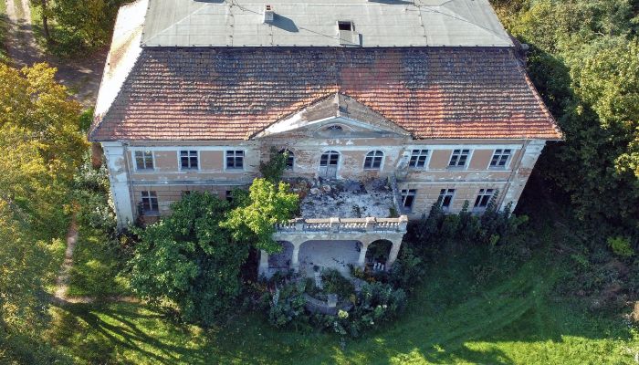 Kaštieľ na predaj Granówko, województwo wielkopolskie,  Poľsko