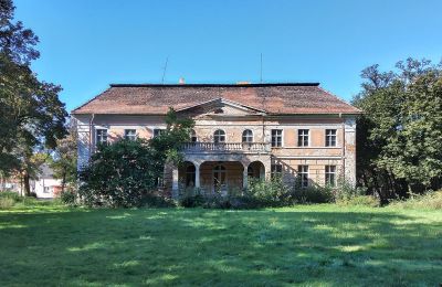 Zámok na predaj Granówko, województwo wielkopolskie, Pohľad zo zadnej strany