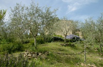 Kostol na predaj 06060 Lisciano Niccone, Umbria, Obrázok 23/30