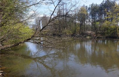 Historický park na predaj Dębe Wielkie, Ruda, województwo mazowieckie, Jazero