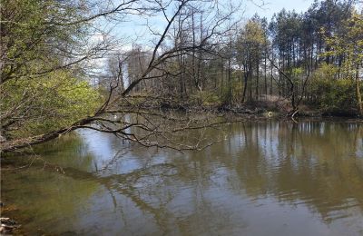 Historický park na predaj Dębe Wielkie, Ruda, województwo mazowieckie:  Jazero