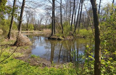 Historický park na predaj Dębe Wielkie, Ruda, województwo mazowieckie, Obrázok 8/24