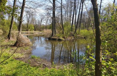 Historický park na predaj Dębe Wielkie, Ruda, województwo mazowieckie:  