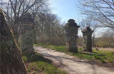 Historický park na predaj Dębe Wielkie, Ruda, województwo mazowieckie, Obrázok 2/24