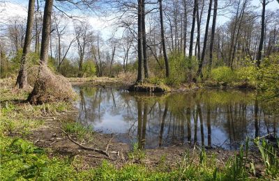 Historický park na predaj Dębe Wielkie, Ruda, województwo mazowieckie, Obrázok 9/24