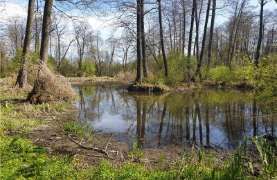 Historický park na predaj Dębe Wielkie, Ruda, województwo mazowieckie:  