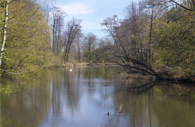 Historický park na predaj Dębe Wielkie, Ruda, województwo mazowieckie:  