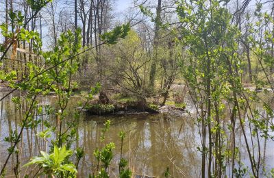 Historický park na predaj Dębe Wielkie, Ruda, województwo mazowieckie, Obrázok 17/24