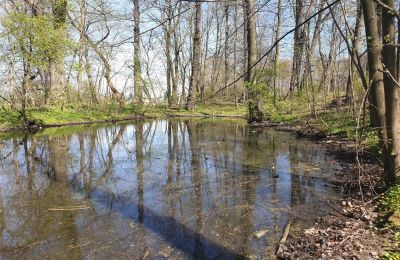 Historický park na predaj Dębe Wielkie, Ruda, województwo mazowieckie, Obrázok 16/24