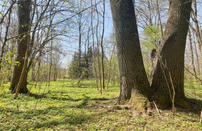 Historický park na predaj Dębe Wielkie, Ruda, województwo mazowieckie:  