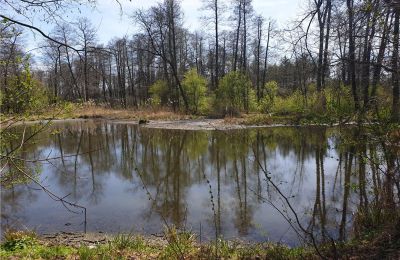 Historický park na predaj Dębe Wielkie, Ruda, województwo mazowieckie:  