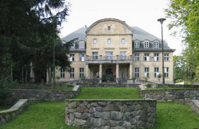 Zámok na predaj Trzcinno, Trzcinno 21, województwo pomorskie, Pohľad z prednej strany