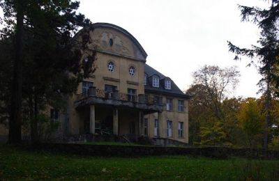 Zámok na predaj Trzcinno, Trzcinno 21, województwo pomorskie, Pohľad zboku