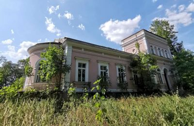 Kaštieľ na predaj Lubiatów, Dwór w Lubiatowie, województwo łódzkie, Exteriérový pohľad