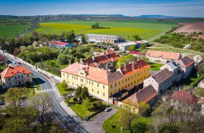 Zámok na predaj Cítoliby, Zamek Cítoliby, Ústecký kraj:  Dron