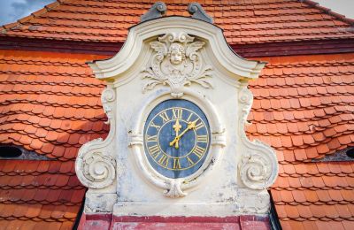 Zámok na predaj Mirošov, Zámek Mirošov, okres Rokycany, Detaily