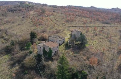 Vidiecky dom na predaj 06019 Umbertide, Umbria, Obrázok 12/20