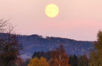 Zámok na predaj Piszkowice, województwo dolnośląskie, Okokica