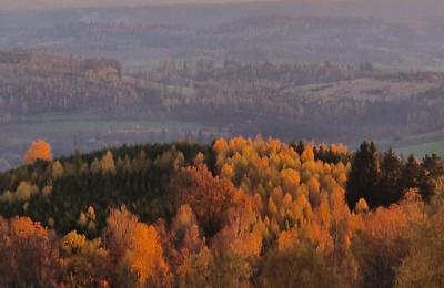 Zámok na predaj Piszkowice, województwo dolnośląskie, Obrázok 23/28