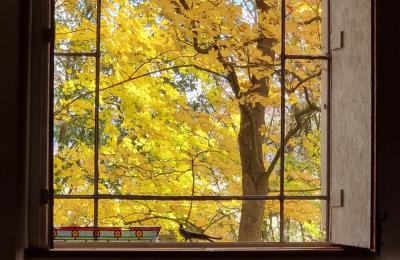 Zámok na predaj Piszkowice, województwo dolnośląskie, Obrázok 25/28