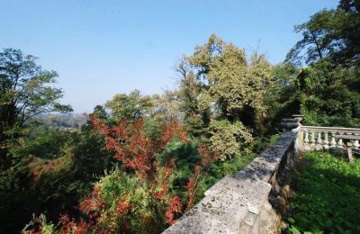 Historická vila na predaj Golasecca, Lombardsko, Záhrada