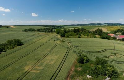 Historická vila na predaj Strzelin, Kazanów 21, województwo dolnośląskie, Obrázok 33/35