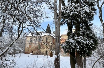 Zámok na predaj Komorowice, Wrocławska 27, województwo dolnośląskie, Obrázok 33/36