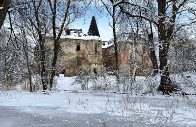 Zámok na predaj Komorowice, Wrocławska 27, województwo dolnośląskie, Obrázok 27/36