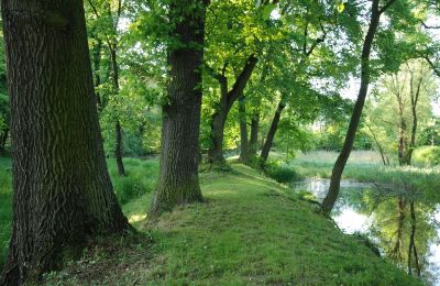 Zámok na predaj Komorowice, Wrocławska 27, województwo dolnośląskie, Obrázok 15/36