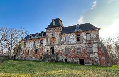 Zámok na predaj Komorowice, Wrocławska 27, województwo dolnośląskie, Obrázok 4/36