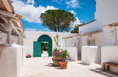 Statok na predaj Martina Franca, Puglia:  