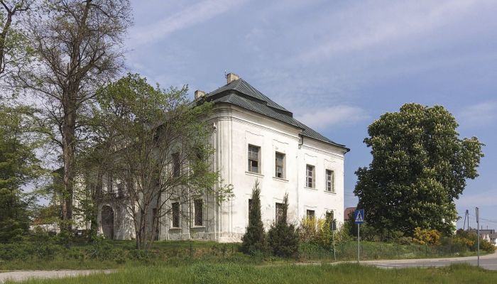 Zámok na predaj Pisarzowice, województwo opolskie,  Poľsko