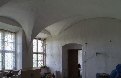 Zámok na predaj Pisarzowice, województwo opolskie, Obrázok 9/17