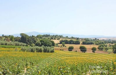 Historická vila na predaj Foiano della Chiana, Toscana:  Výhľad