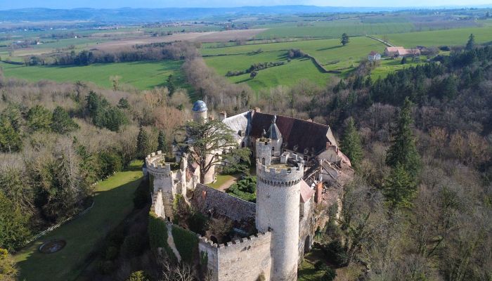 Zámok na predaj Veauce, Auvergne-Rhône-Alpes,  Francúzsko