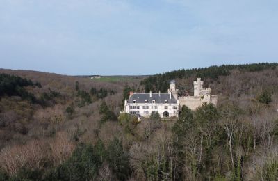 Zámok na predaj Veauce, Auvergne-Rhône-Alpes, Okolie nehnuteľnosti