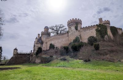 Zámok na predaj Veauce, Auvergne-Rhône-Alpes, Obrázok 3/10