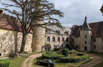 Zámok na predaj Veauce, Auvergne-Rhône-Alpes, Obrázok 4/10