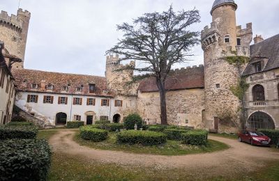 Zámok na predaj Veauce, Auvergne-Rhône-Alpes, Dvor
