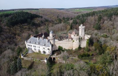 Zámok na predaj Veauce, Auvergne-Rhône-Alpes, Fotografia Drona