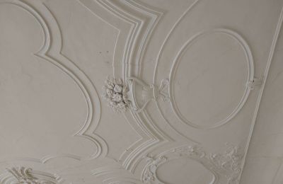 Zámok na predaj 04600 Altenburg, Thüringen,, Ansicht