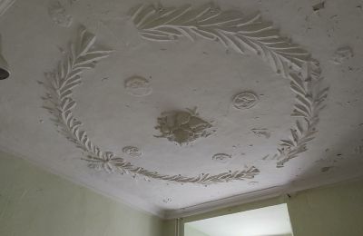 Zámok na predaj 04600 Altenburg, Thüringen,, Ansicht