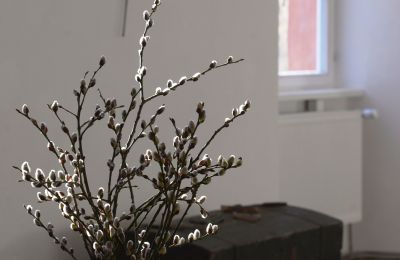 Slot til salg 91792 Ellingen, An der Vogtei 2, Bayern, Billede 12/61